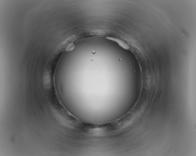 X0000112410312200908141406
