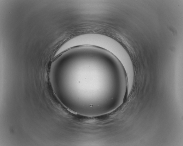 X0000112410313200908141406