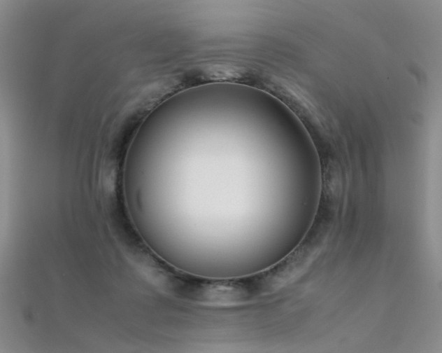 X0000112410315200908141406