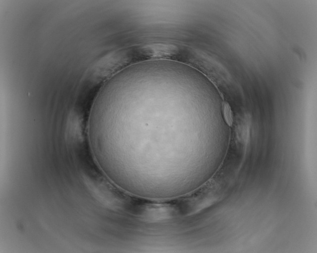 X0000112410316200908141406