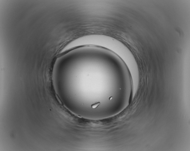 X0000112410317200908141406