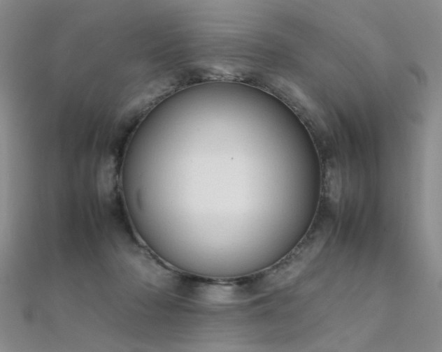 X0000112410318200908141406