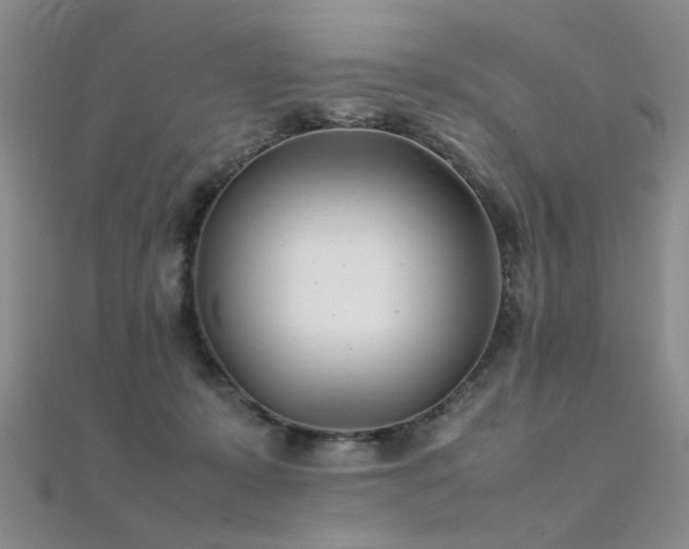 X0000112410319200908141406