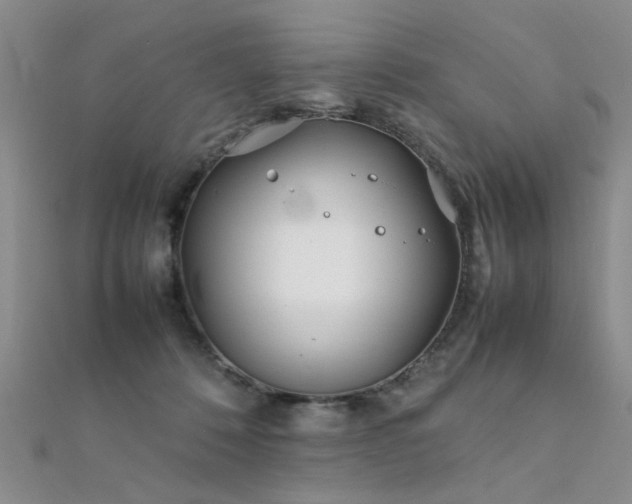 X0000112410320200908141406