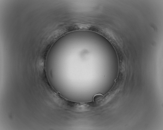 X0000112410321200908141406
