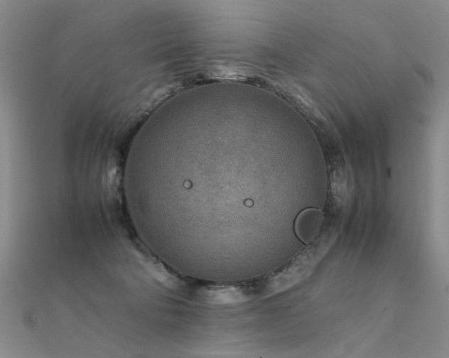X0000112410322200908141406