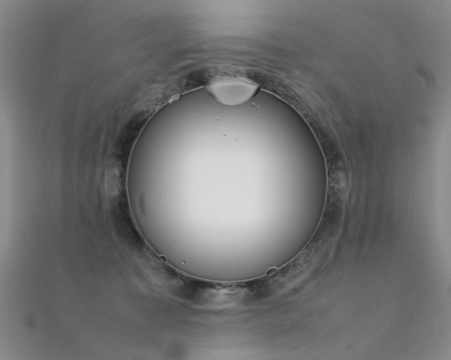 X0000112410323200908141406