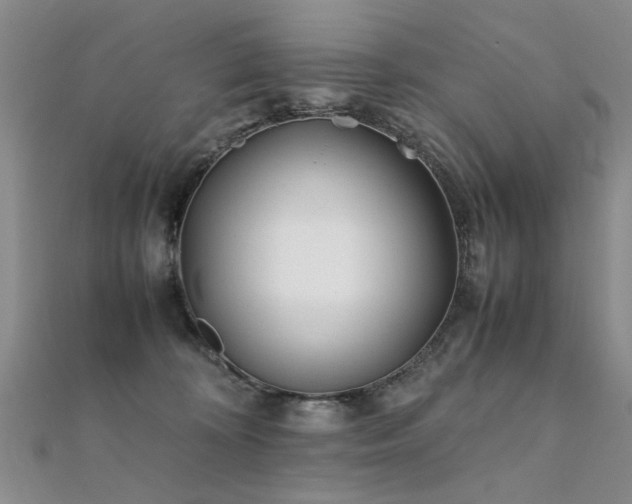 X0000112410324200908141406