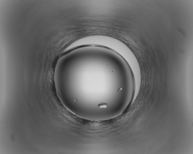 X0000112410325200908141406