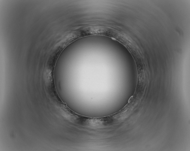 X0000112410327200908141406