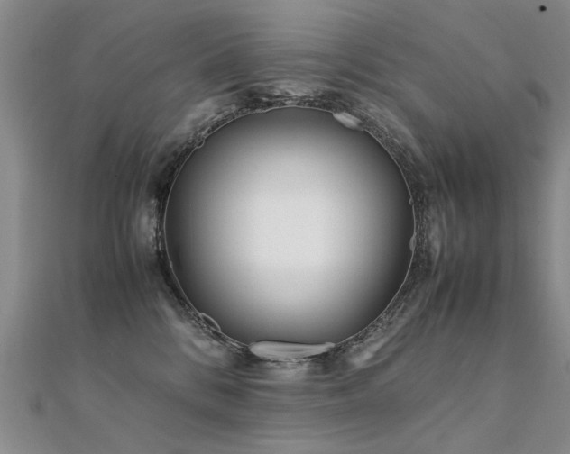 X0000112410328200908141406