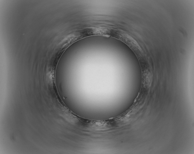 X0000112410329200908141406