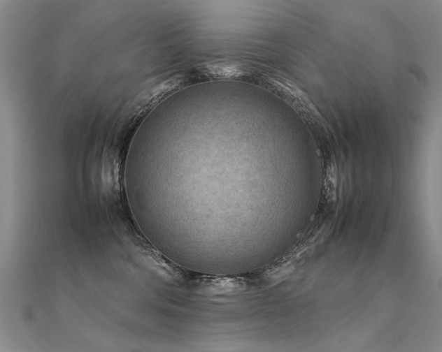 X0000112410330200908141406