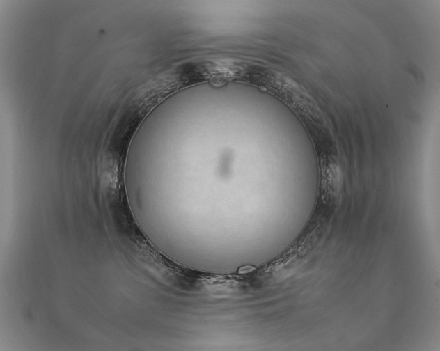 X0000112410331200908141406