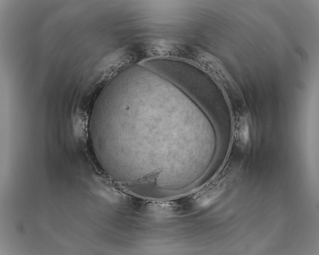 X0000112410332200908141406