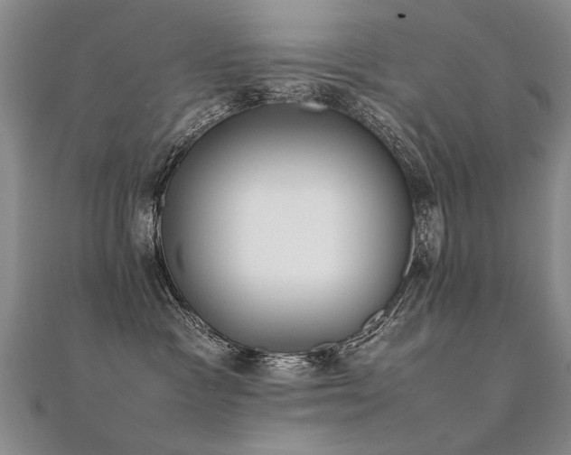 X0000112410333200908141406