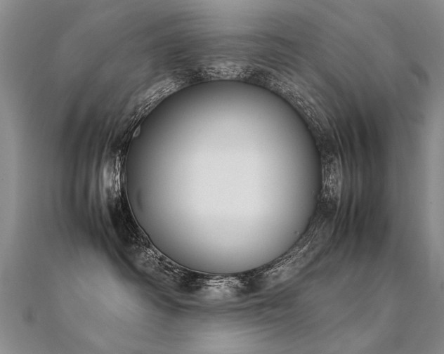 X0000112410334200908141406
