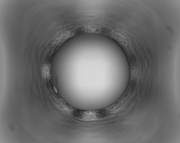 X0000112410335200908141406