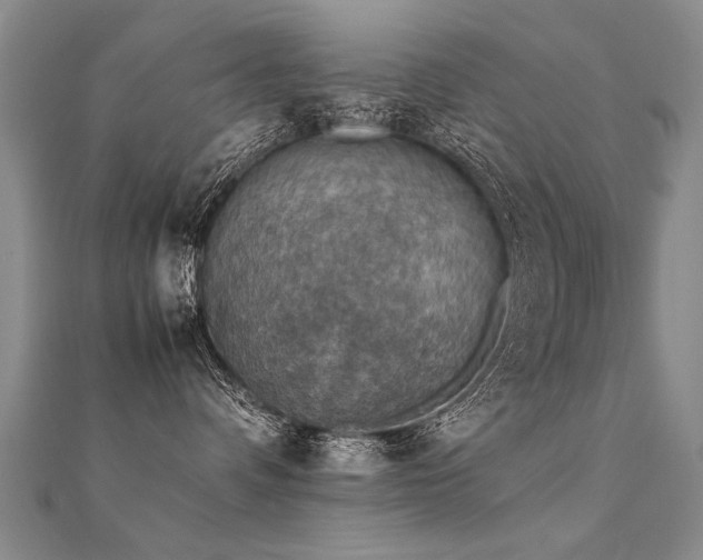 X0000112410336200908141406