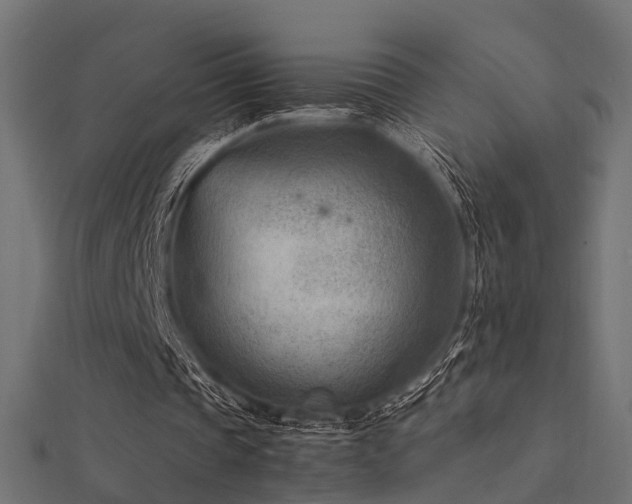 X0000112410337200908141405
