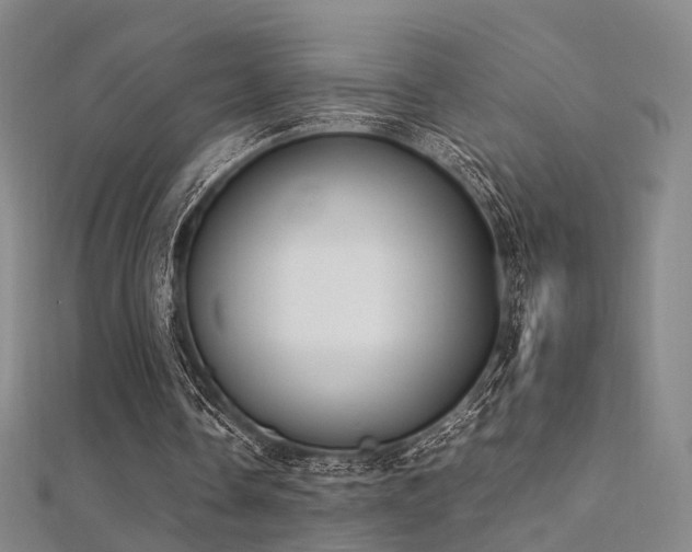 X0000112410338200908141405