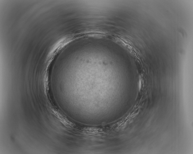 X0000112410339200908141405