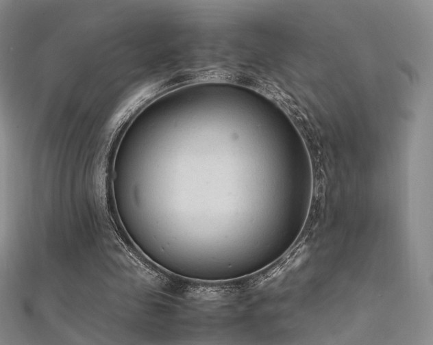 X0000112410341200908141405