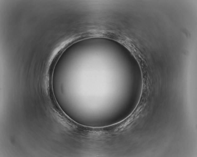 X0000112410342200908141405