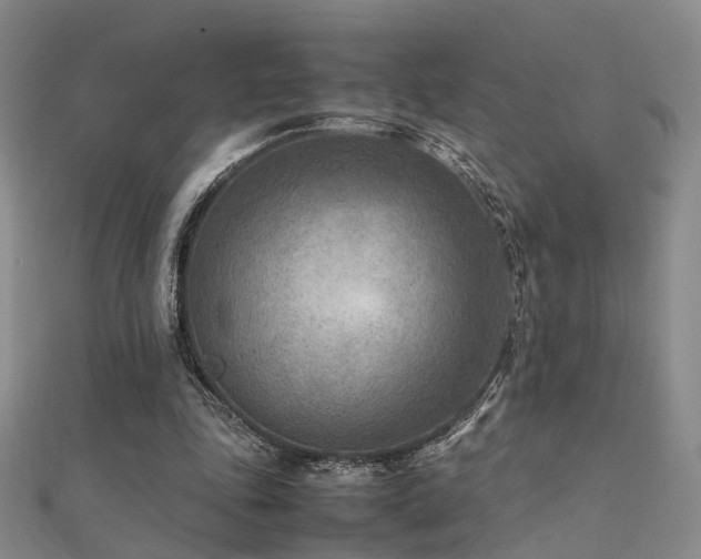 X0000112410343200908141405
