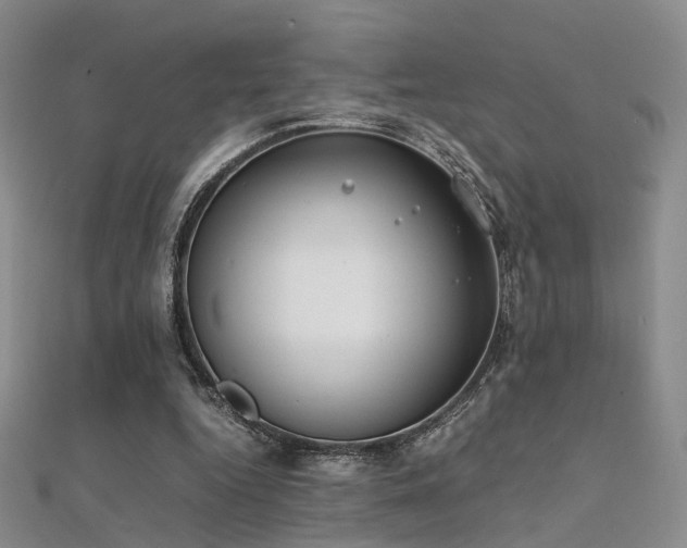 X0000112410344200908141405