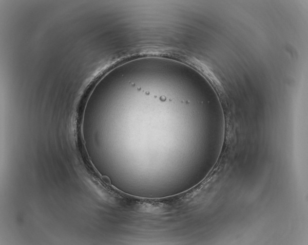 X0000112410346200908141405