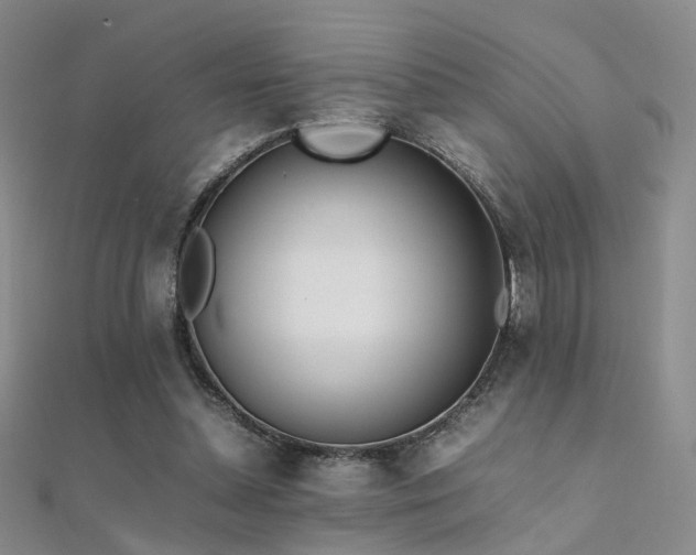 X0000112410348200908141405
