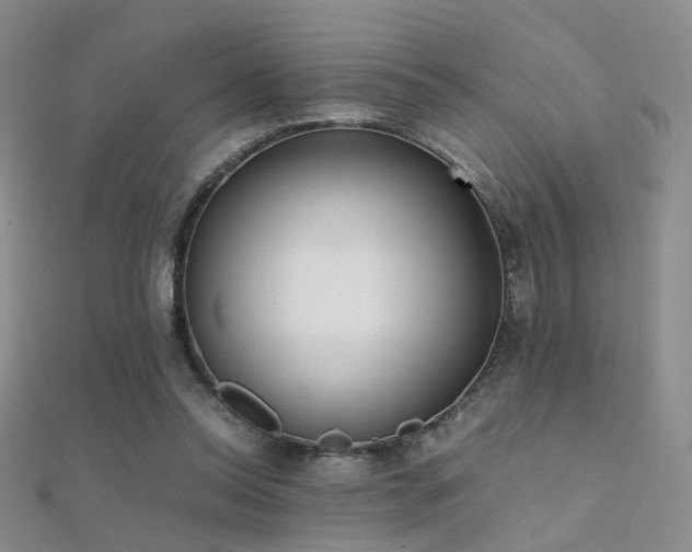 X0000112410350200908141405
