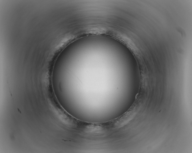 X0000112410354200908141405