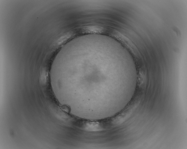X0000112410355200908141405
