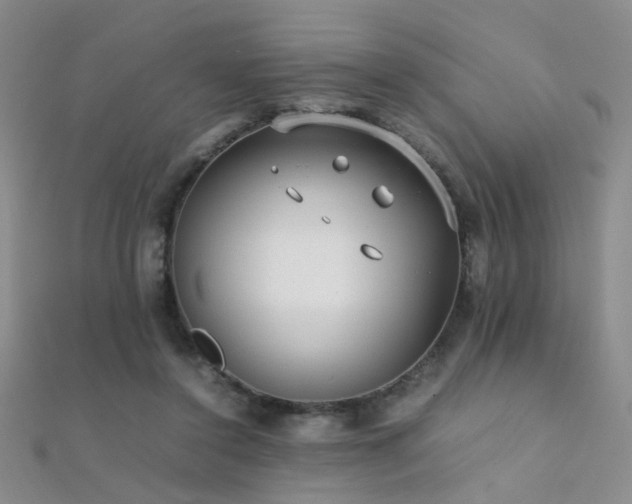 X0000112410356200908141405