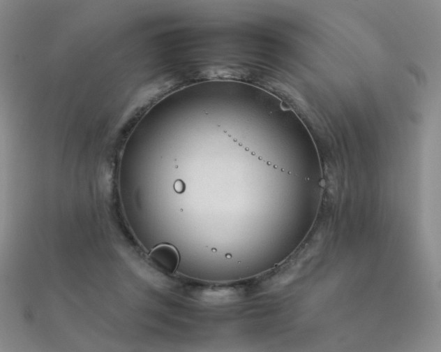 X0000112410357200908141405