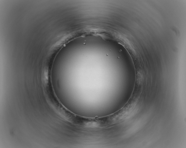 X0000112410358200908141406