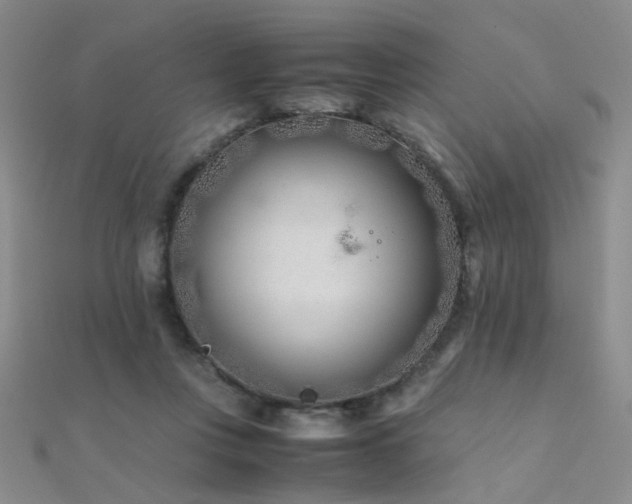 X0000112410359200908141406