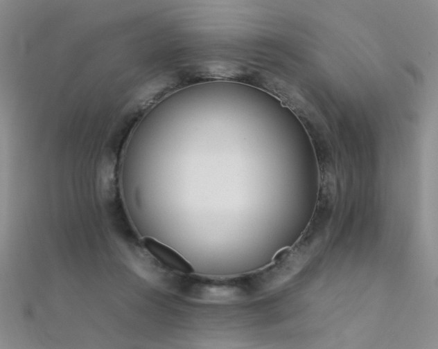 X0000112410360200908141406