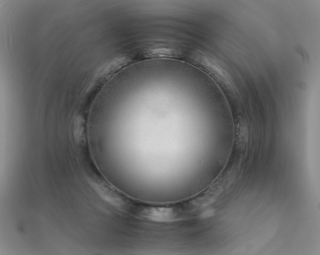X0000112410361200908141406