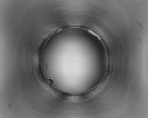 X0000112410362200908141406