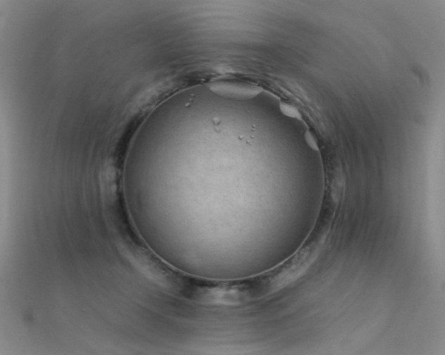 X0000112410366200908141406