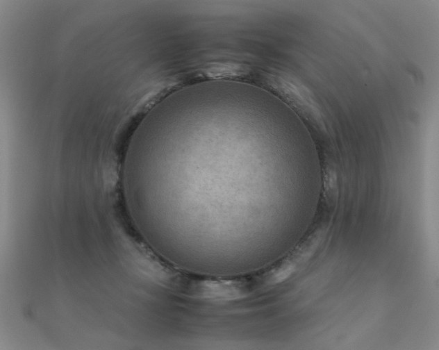 X0000112410367200908141406