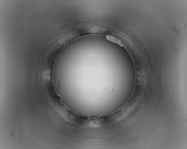X0000112410368200908141406