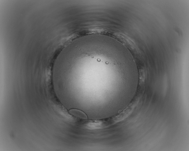 X0000112410369200908141406