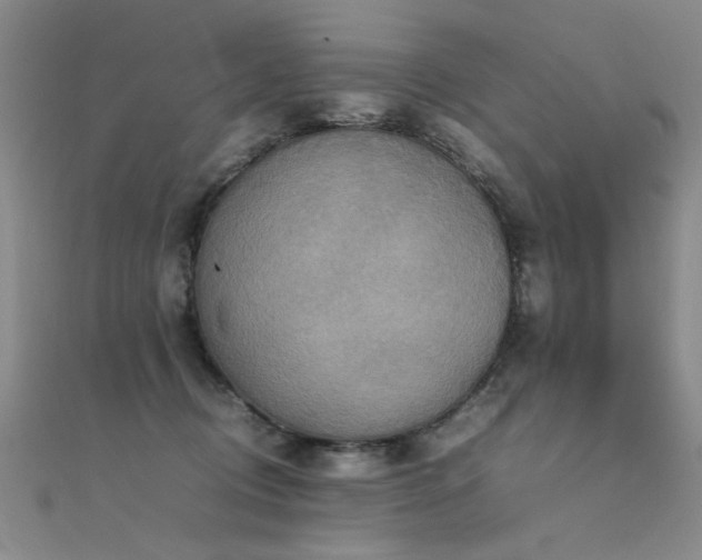X0000112410370200908141406