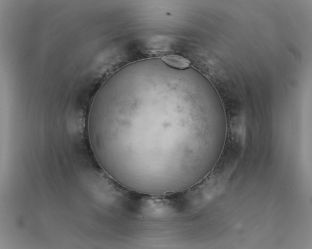 X0000112410372200908141406