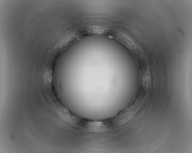 X0000112410374200908141406