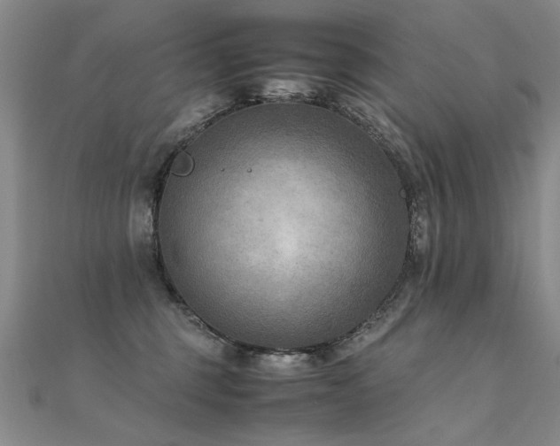 X0000112410375200908141406